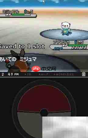 口袋妖怪黑白2运行库问题解决  第2张