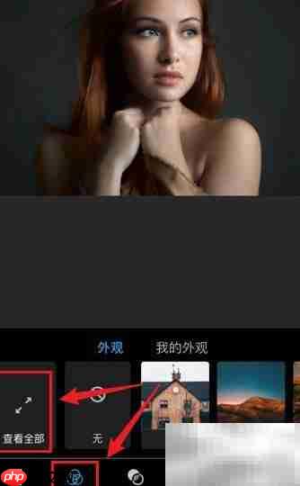 Photoshop Express外观滤镜使用技巧  第3张