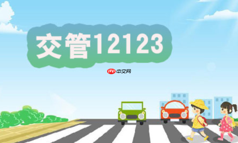 12123处理扣分遇到系统卡顿怎么办_12123卡顿应对保障处理完成法【步骤】