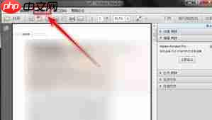 Adobe Reader XI如何放大选中内容  第2张