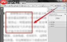 Adobe Reader XI如何放大选中内容  第3张