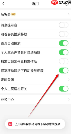 《唱吧》移动网络下自动播放视频开启与关闭方法  第5张