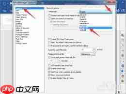 MindManager如何设置中文  第3张