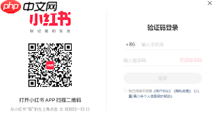 如何直接打开小红书网页版入口