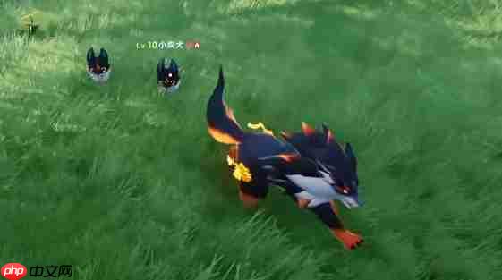 《伊莫》新手期宠物选择攻略  第2张