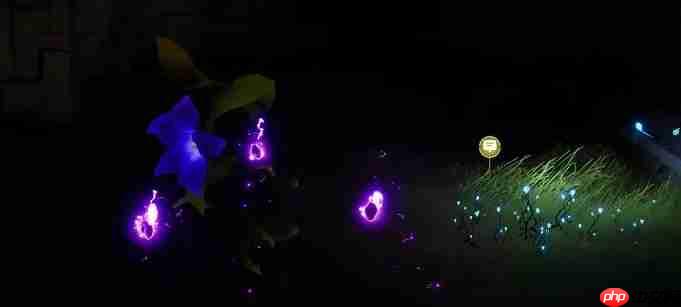 《伊莫》新手期宠物选择攻略  第7张