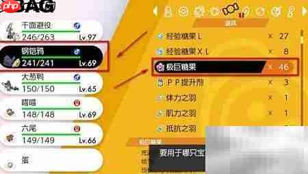 宝可梦剑盾极巨化等级提升方法  第4张