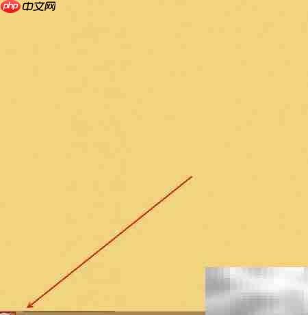 Application Information服务启动方法