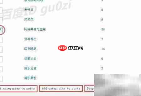 WordPress批量修改文章分类  第10张