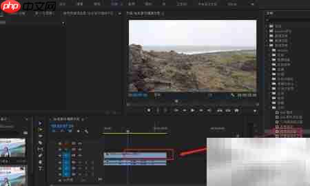 PR亮度校正器设置方法  第4张