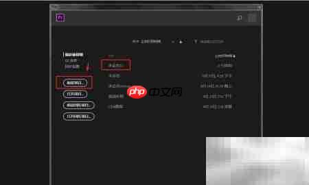 PR亮度校正器设置方法