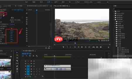 PR亮度校正器设置方法  第5张