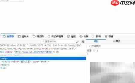 text与password输入类型区别  第4张