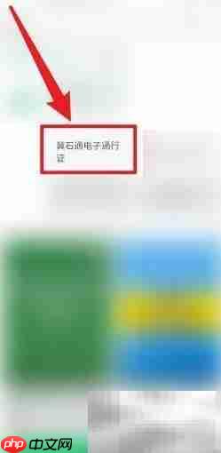 冀石通电子证申领指南  第3张