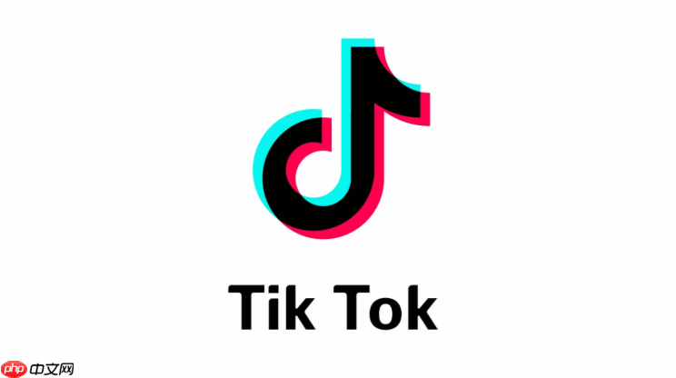 TikTok网页版入口 TikTok官网在线登录地址