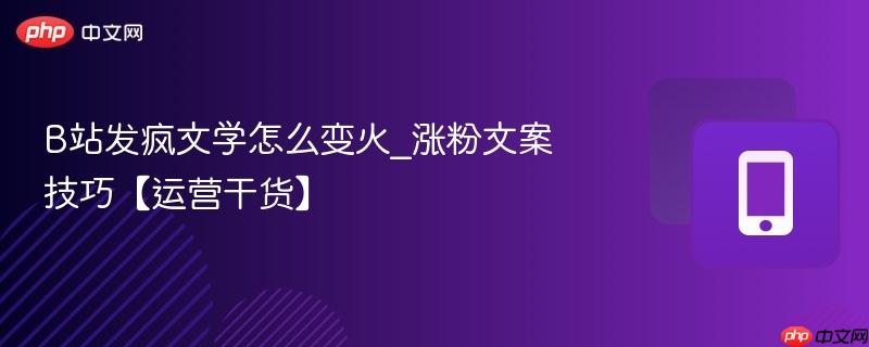 B站发疯文学怎么变火_涨粉文案技巧【运营干货】  第1张