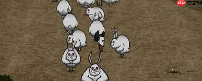 《饥荒联机版》机缘兔子两种形态介绍
