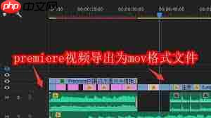 premiere如何导出mov格式视频文件  第2张