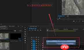 premiere如何导出mov格式视频文件  第1张