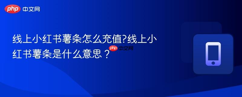 线上小红书薯条怎么充值?线上小红书薯条是什么意思？