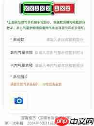 北京燃气如何报数