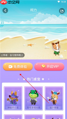 小小桌宠app使用说明  第2张