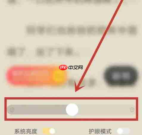 速读免费小说app阅读亮度调节方法  第3张