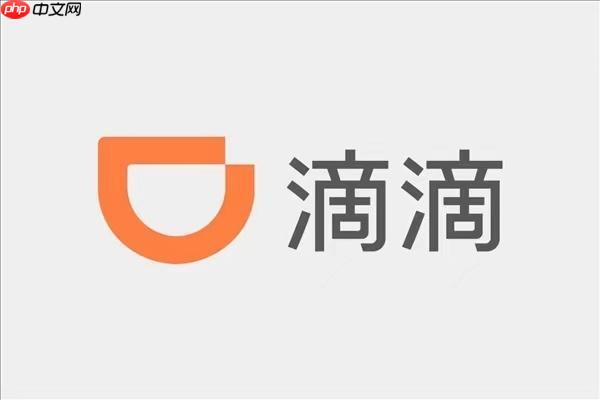 滴滴出行年度报告2025入口 滴滴打车年度账单怎么看