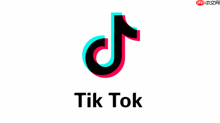 TikTok网页版免费入口 TikTok网页版官方内容网页直达