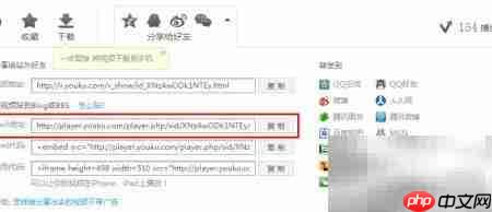 获取视频Flash地址方法  第2张