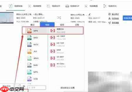 WMV转MP4：简单几步完成转换  第4张
