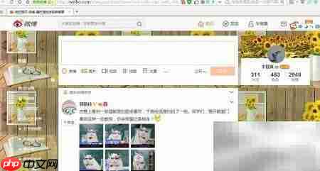 解决alissologin插件加载失败  第5张