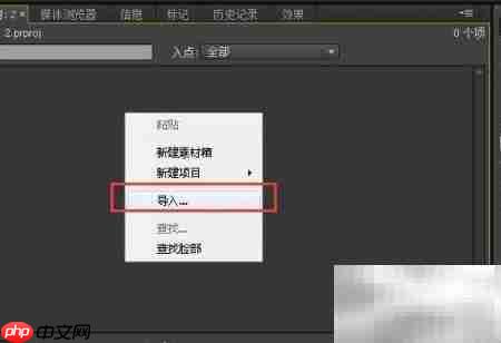 Premier视频自定义遮罩教程  第2张