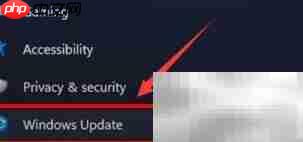 Win11摄像头驱动更新指南  第2张