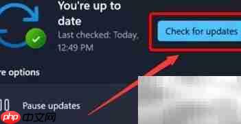Win11摄像头驱动更新指南  第3张