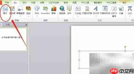 PPT插入图片设置方法  第4张