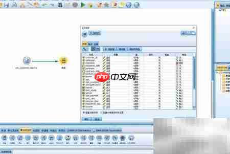 SPSS自动分类建模解析  第2张