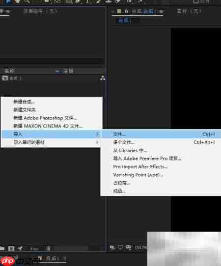 Ae 2019导入消失点文件方法  第3张
