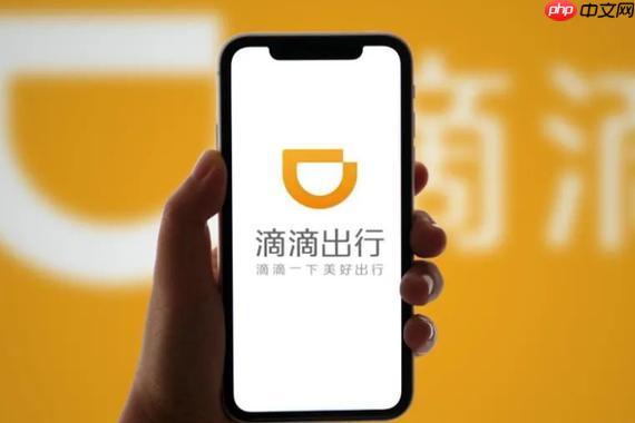 滴滴出行2025年度报告怎么下载 滴滴年度账单截图分享