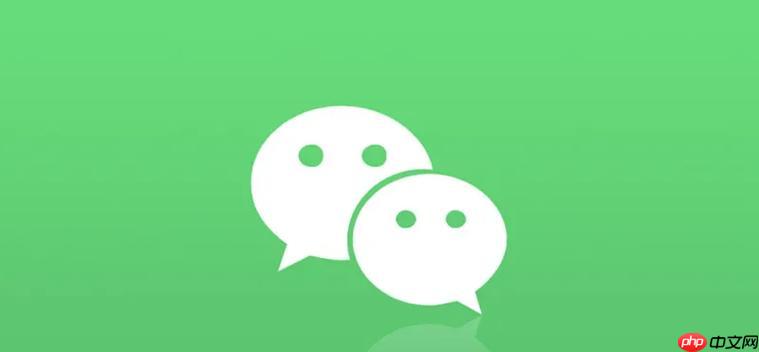 微信Web版怎样退出登录_微信Web版退出操作与设备安全管理【方法】  第1张