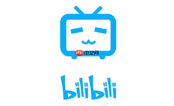 哔哩哔哩在线官网 B站电脑版首页进入  第1张