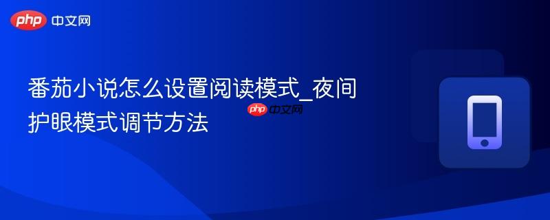 番茄小说怎么设置阅读模式_夜间护眼模式调节方法  第1张