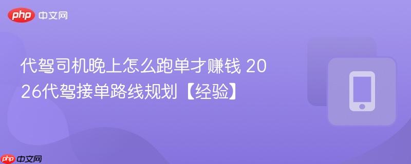 代驾司机晚上怎么跑单才赚钱 2026代驾接单路线规划【经验】  第1张