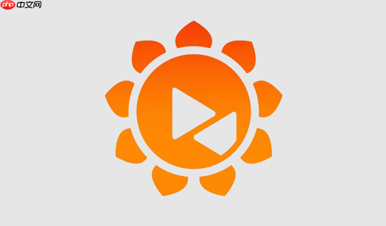 向日葵网页版官网入口地址 向日葵远程控制在线访问指南  第1张