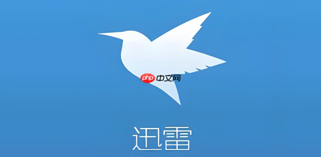 迅雷网盘如何调整下载限速策略_迅雷网盘调整下载限速策略方法【优化】  第1张