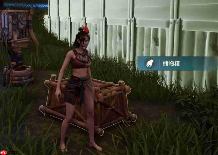 《荒野起源》储物箱用法介绍  第2张