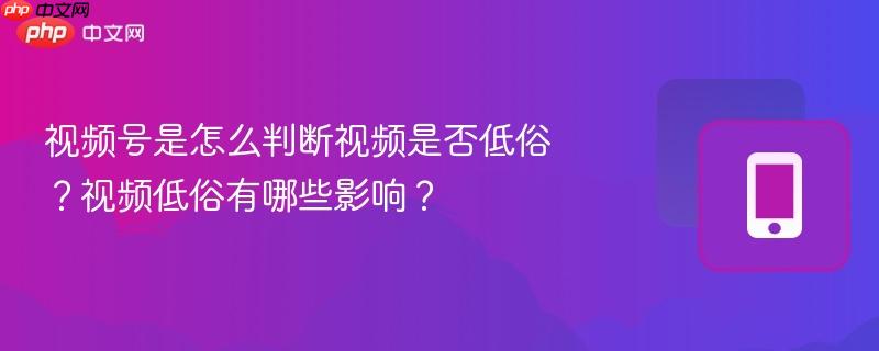 视频号是怎么判断视频是否低俗？视频低俗有哪些影响？  第1张