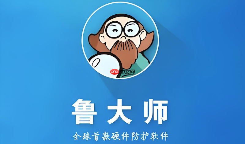 鲁大师电脑在线体检_鲁大师官网系统健康度检测