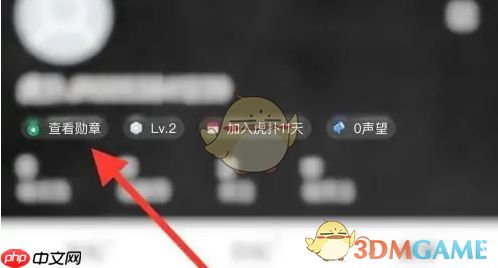 《虎扑》勋章查看方法  第2张