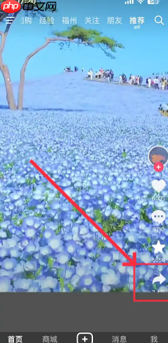 抖音怎么保存视频在手机相册里 抖音保存视频怎么去掉水印  第2张